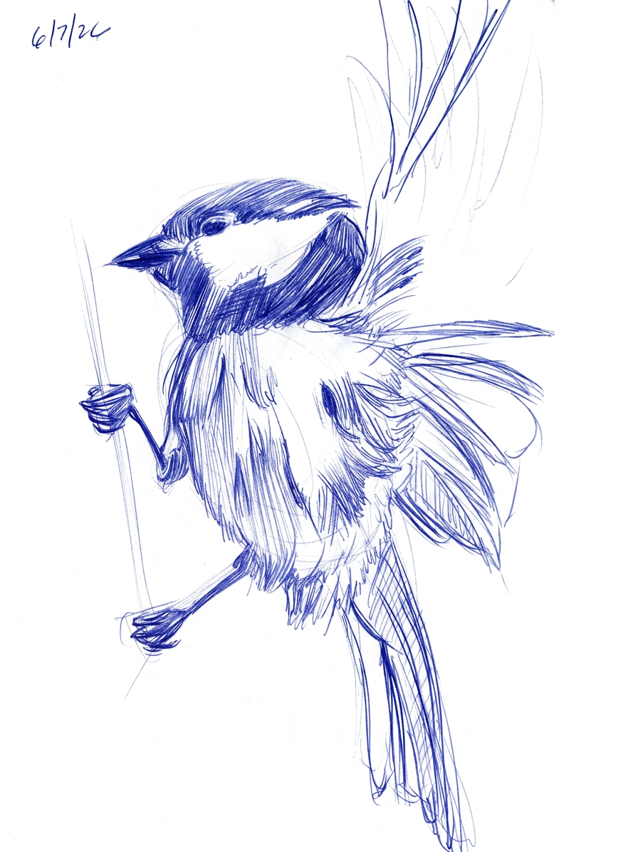 bird1